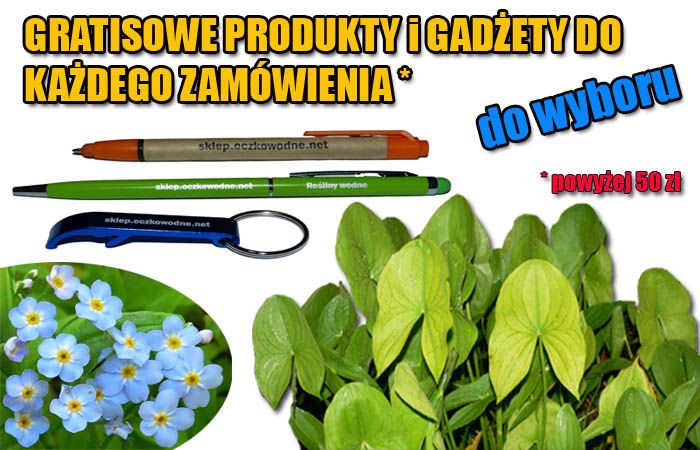 gratis do kazdego zamowienia