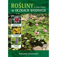 Rośliny w oczkach wodnych